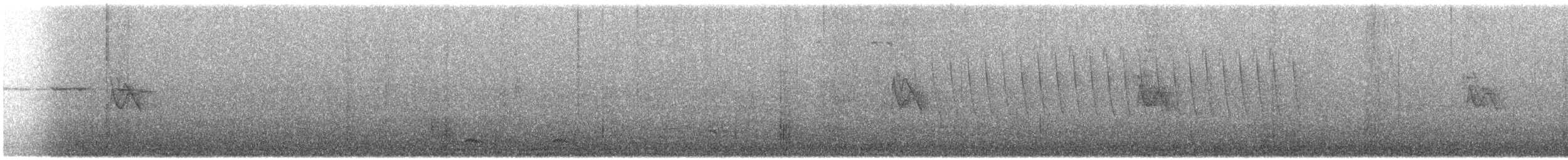 Pine Siskin - ML646000143