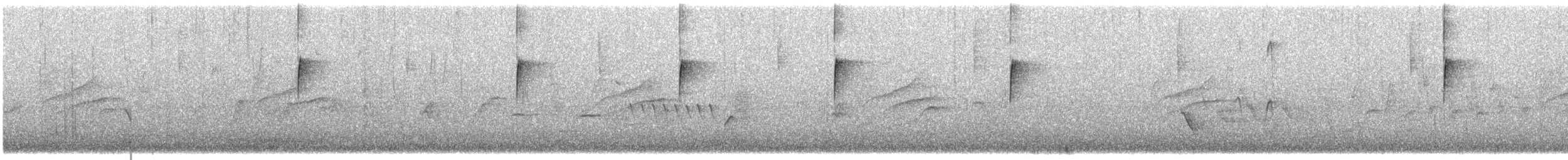 Pine Siskin - ML646000144