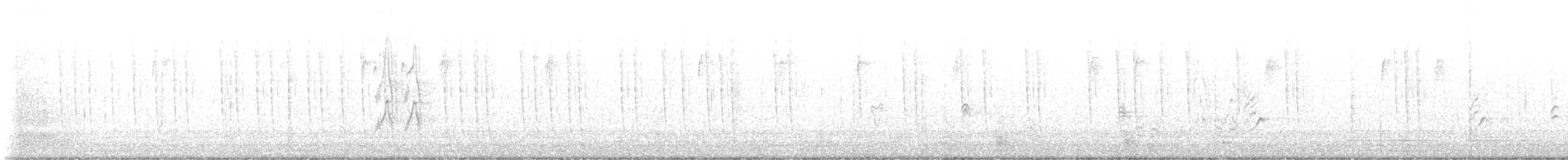 Rufous Hummingbird - ML646000175