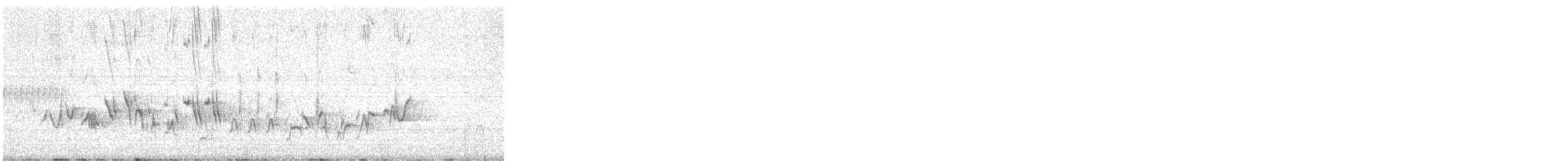 Cassin's Finch - ML646000206