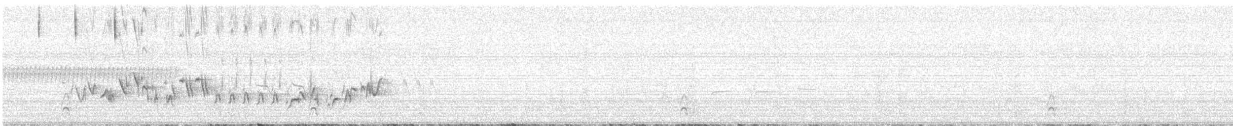 Cassin's Finch - ML646000207