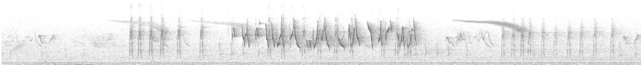 Вівчарик зелений (підвид viridanus) - ML646000684