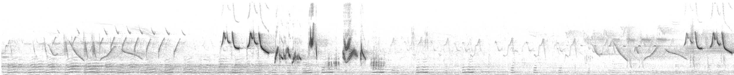 Синьохвіст тайговий - ML646001318