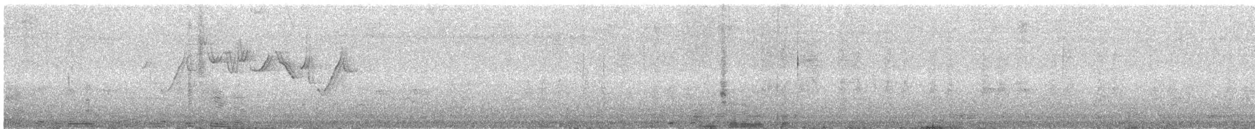 Вівчарик світлохвостий - ML646002062