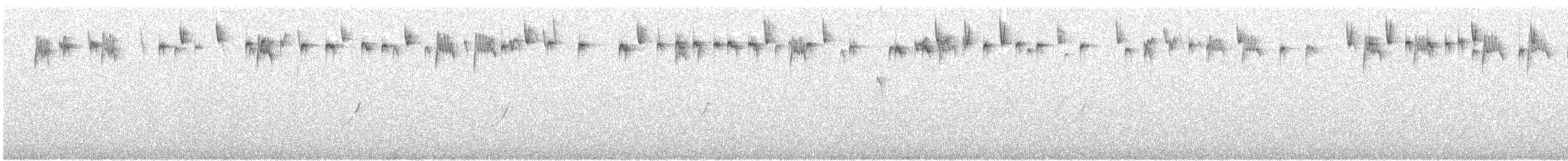 מלכילון האורנים - ML646003933