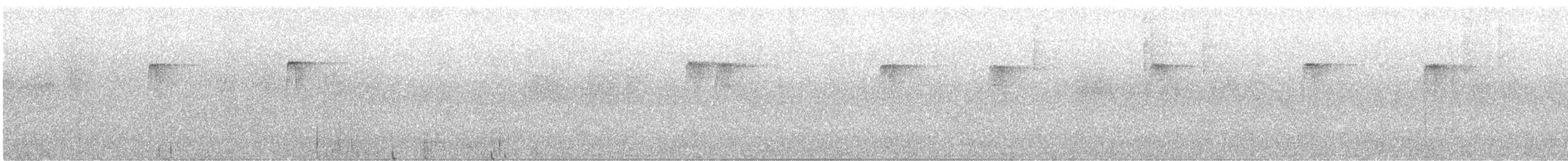 Hellkehl-Stachelschwanz - ML646003995