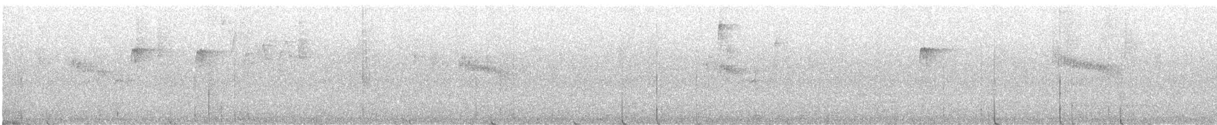 Hellkehl-Stachelschwanz - ML646003996