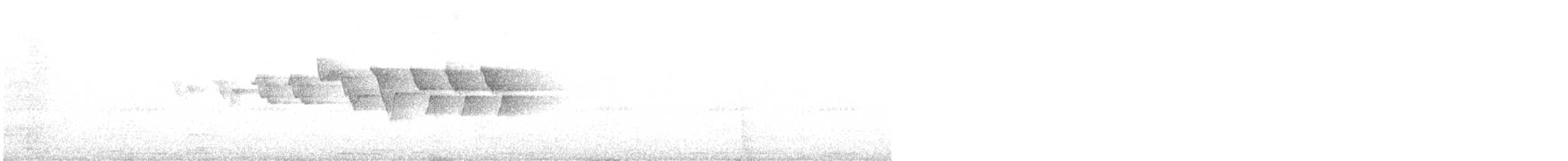 Larvenwaldsänger - ML646004020