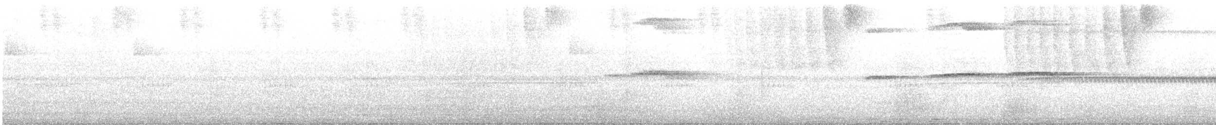 Breitflügelbussard - ML646004044