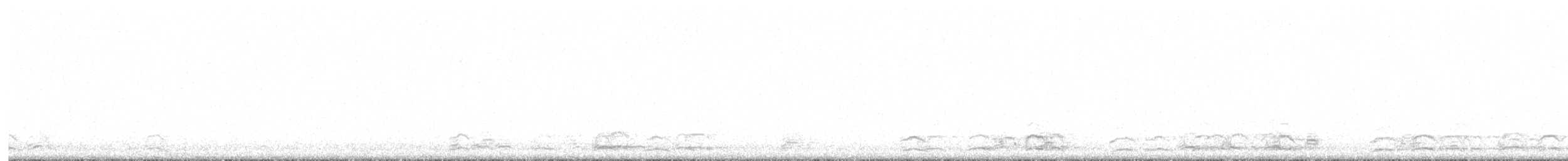 Schneegans - ML646004271