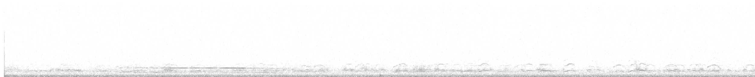 Schneegans - ML646004272