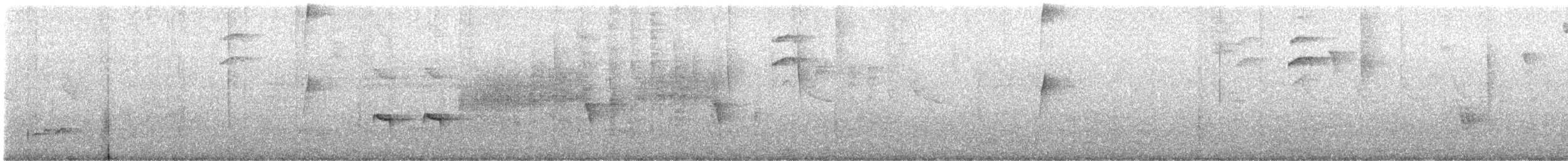 Küstenkordilleren-Ameisenfänger - ML646004589