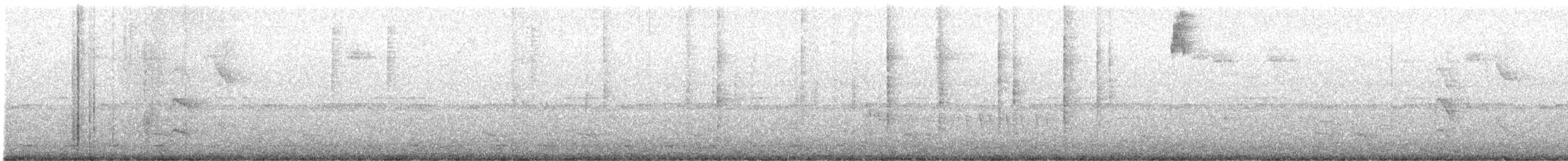 Brasilzwergkauz - ML646004741