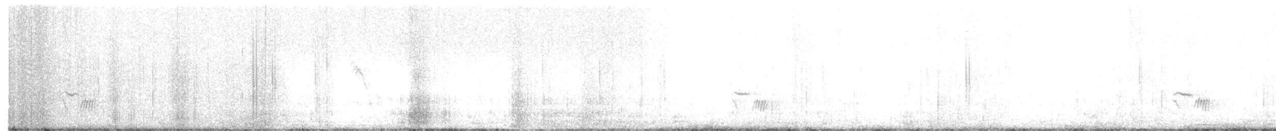 Ringdrossel - ML646005275