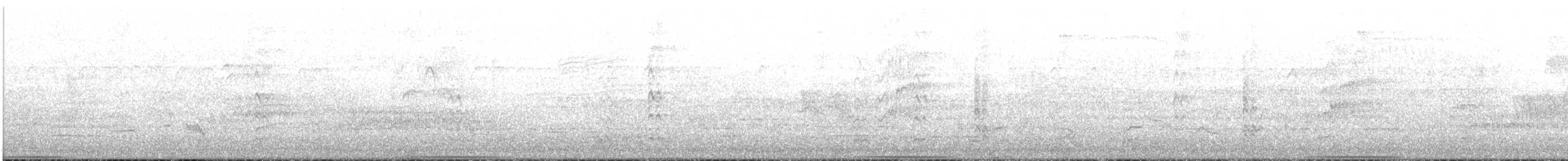 Common Bronzewing - ML646006150