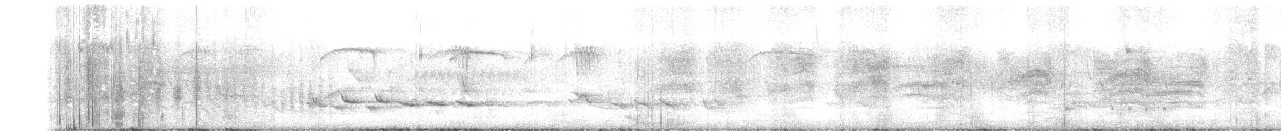 åmeparula - ML646006367