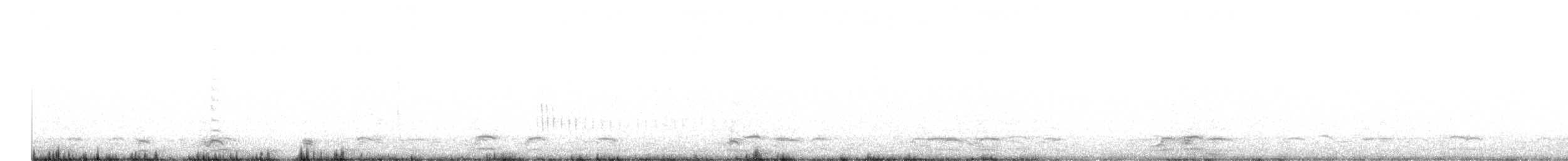 Belted Kingfisher - ML646006691