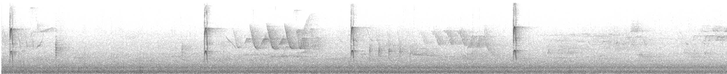 Downy Woodpecker - ML646007228