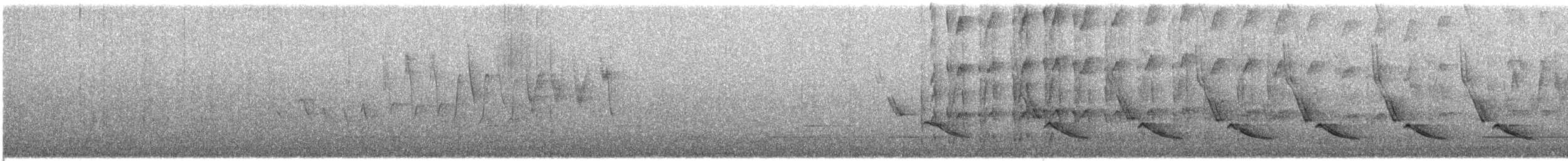 Downy Woodpecker - ML646007511