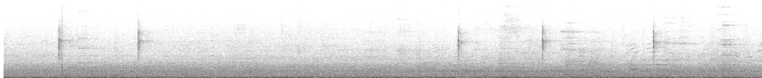 Соловьиная широкохвостка - ML646008152