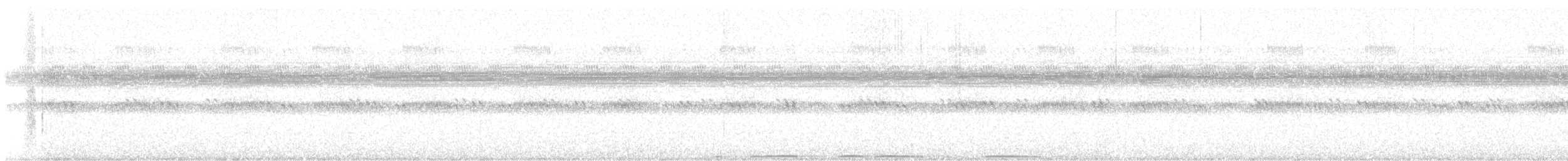 výr virginský - ML646009036