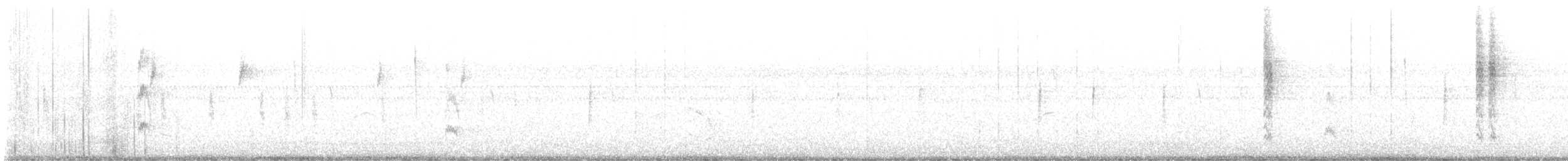 strakapoud kokardový - ML646009160