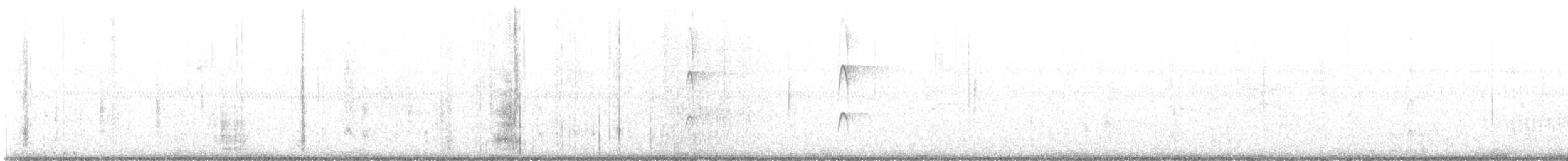 Red-cockaded Woodpecker - ML646009201