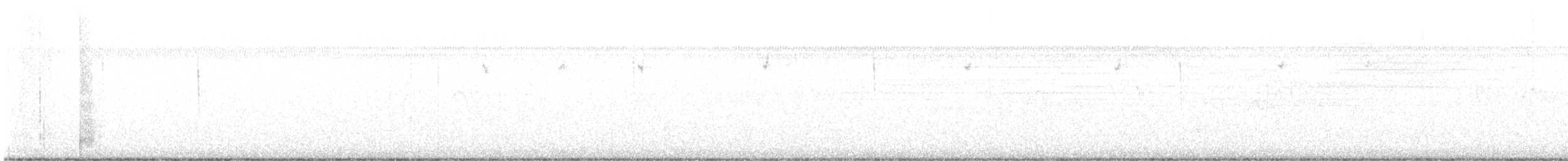 tyranovec domácí - ML646009376