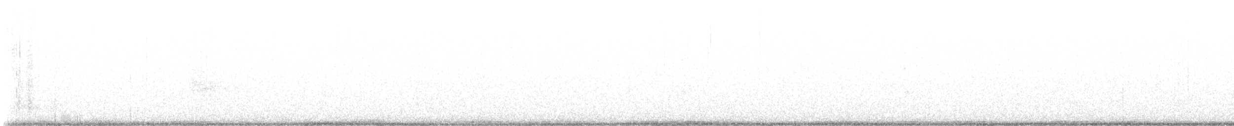 strakapoud kokardový - ML646009395