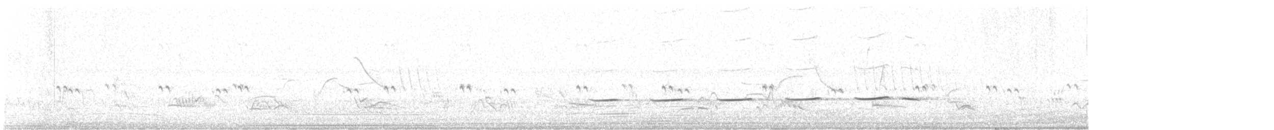 セスジカッコウ - ML646009608