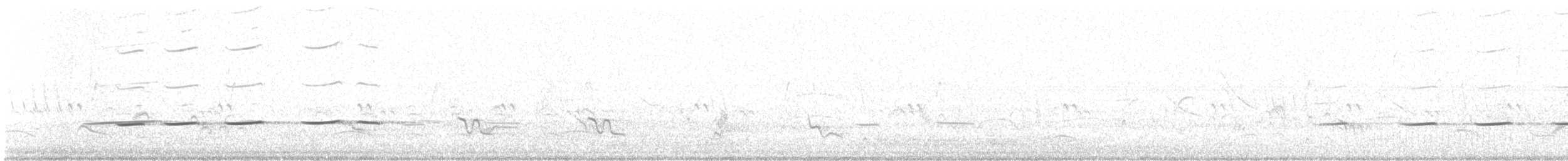 セスジカッコウ - ML646009609