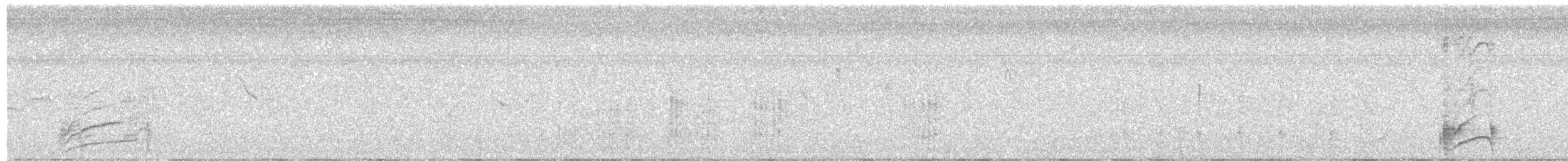 Smooth-billed Ani - ML646009723