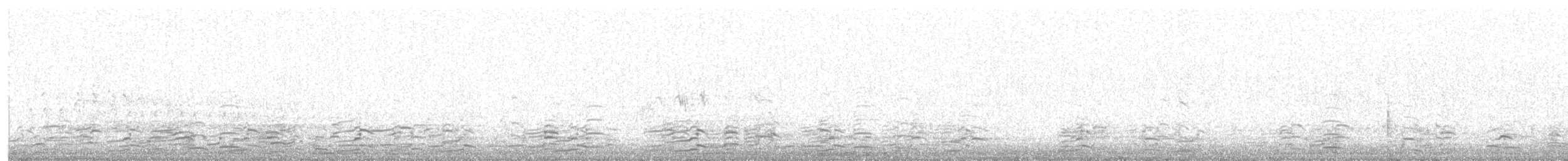 小加拿大雁 - ML646009849