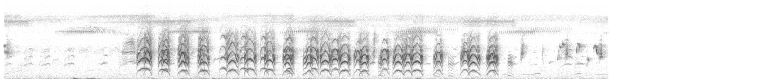 白眉秧雞 - ML646010367