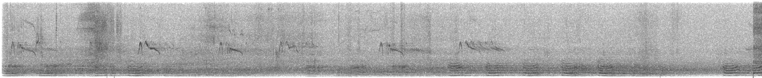 Black Phoebe - ML646010782