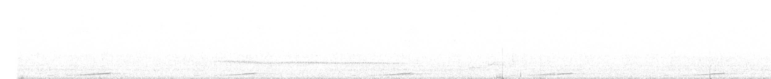 Brown Cuckoo-Dove - ML646014258