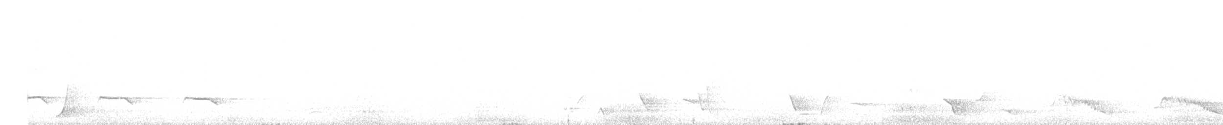 kukačka pokřovní - ML646014539