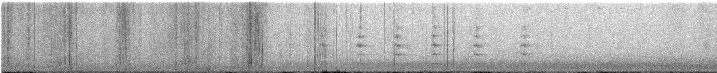 Ahate karolinarra - ML646016652