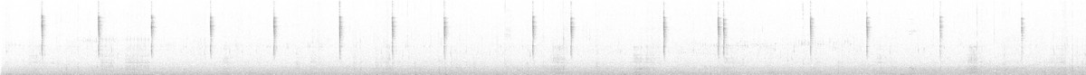 Pacific Wren - ML646016693