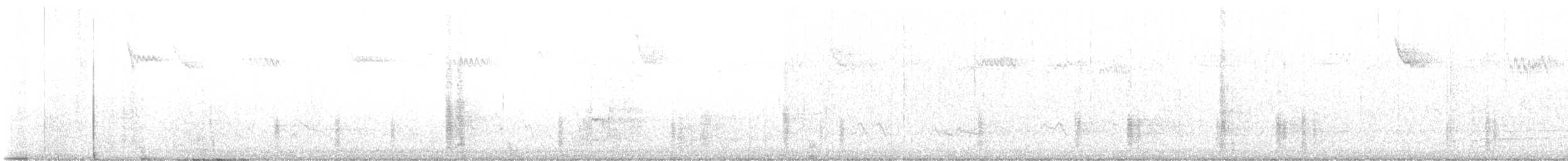 Common Grackle - ML646017061