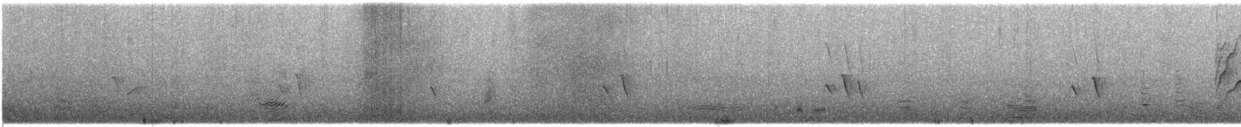 Altın İskete - ML646017091