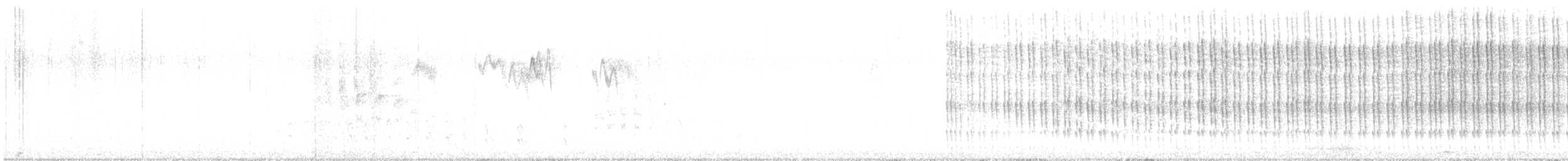 Belted Kingfisher - ML646017093