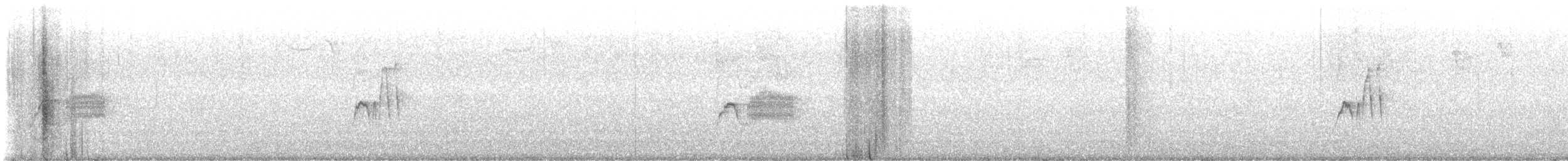 Eastern Phoebe - ML646018178