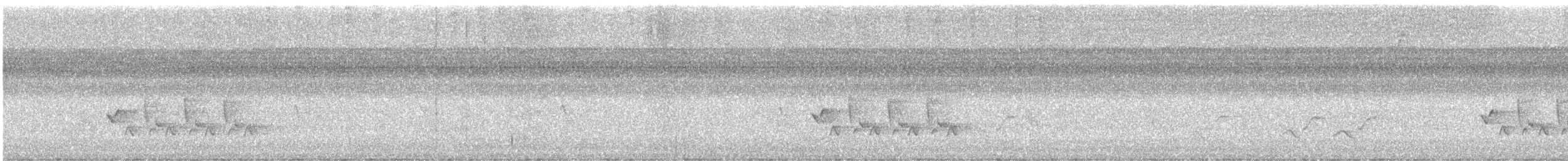 Carolina Wren - ML646018234