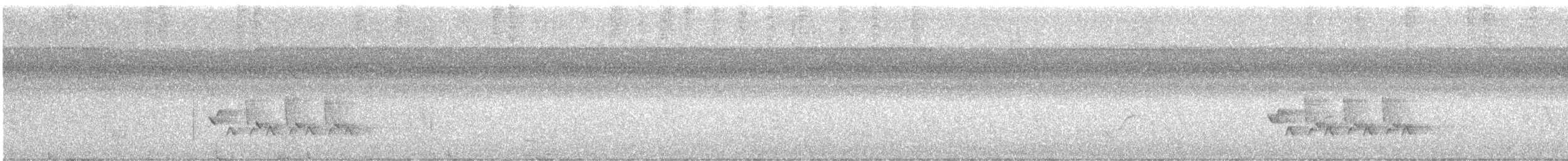 Carolina Wren - ML646018235