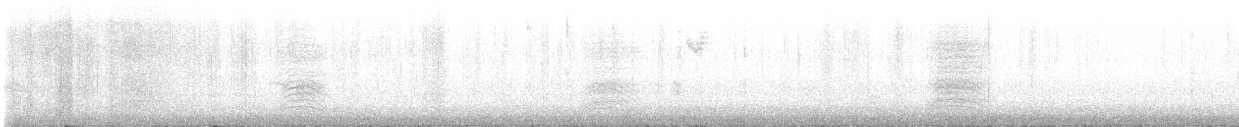 Miaulari grisa - ML646018357