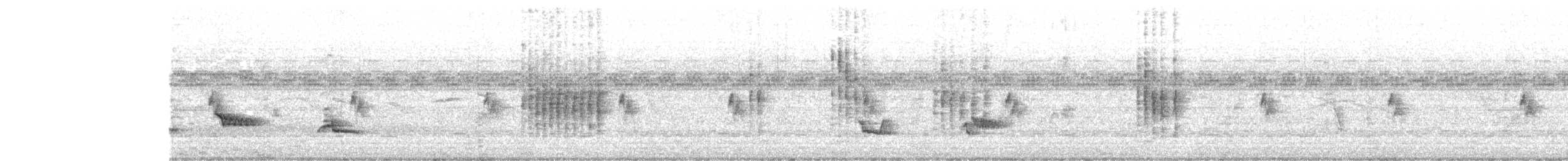 Creamy-bellied Thrush - ML646018362