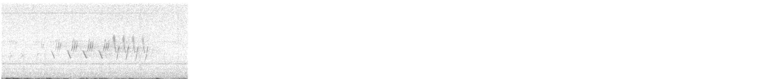 MacGillivray's Warbler - ML646018888