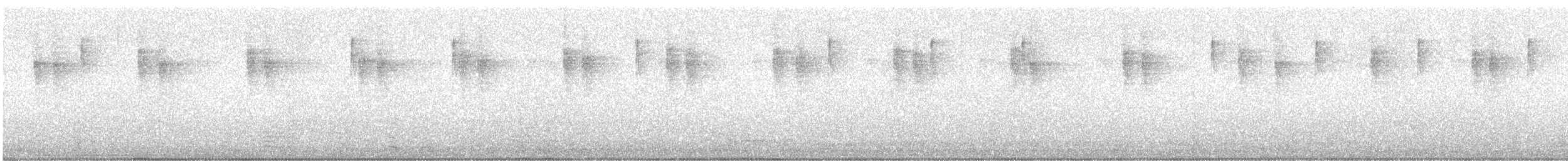 Hegaztia sp. - ML646019659