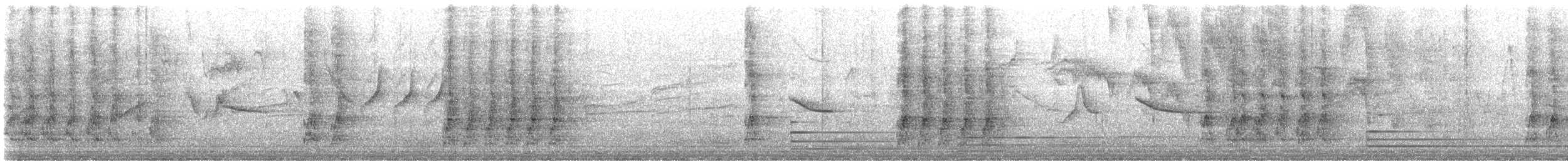 Steller's Jay - ML646020021